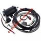 Electric Start Motor Kit Flywheel For Yamaha Outboard 2 Stroke 25/30hp